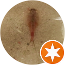 Ln T. profile picture